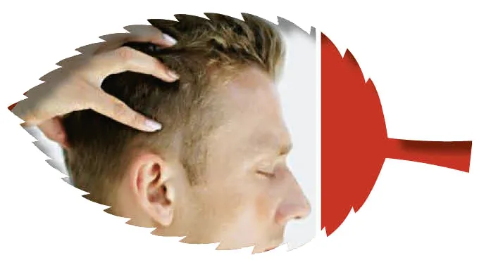 Autumn Specials at Aroma Touch