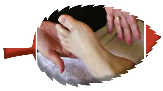 Autumn Specials at Aroma Touch